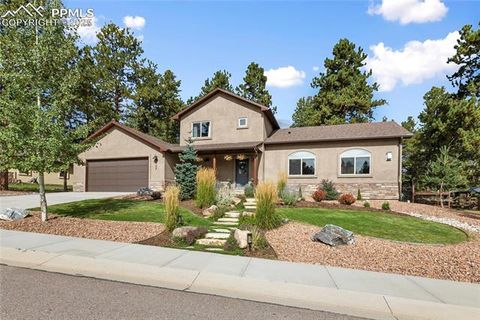 Tiny photo for 1322 Firestone Drive, Woodland Park, CO 80863 (MLS # 1939455)