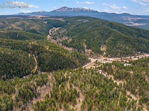 Tiny photo for 12810 Rampart Range Road, Woodland Park, CO 80863 (MLS # 9476212)