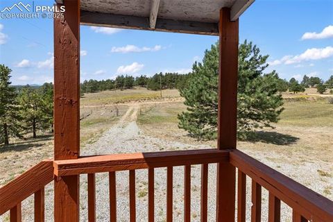 Tiny photo for 272 Spring Valley Trail, Florissant, CO 80816 (MLS # 6807699)