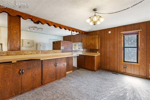 Tiny photo for 272 Spring Valley Trail, Florissant, CO 80816 (MLS # 6807699)