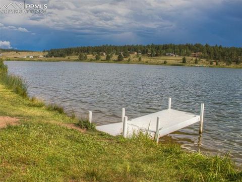 Tiny photo for 272 Spring Valley Trail, Florissant, CO 80816 (MLS # 6807699)