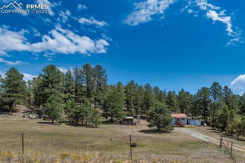 Tiny photo for 272 Spring Valley Trail, Florissant, CO 80816 (MLS # 6807699)