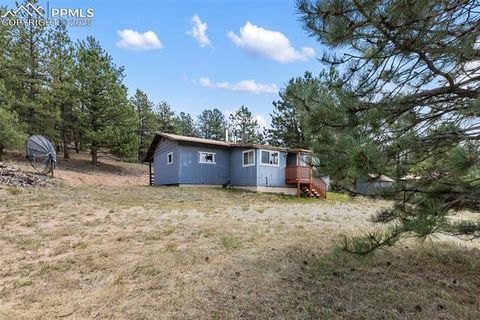 Tiny photo for 272 Spring Valley Trail, Florissant, CO 80816 (MLS # 6807699)