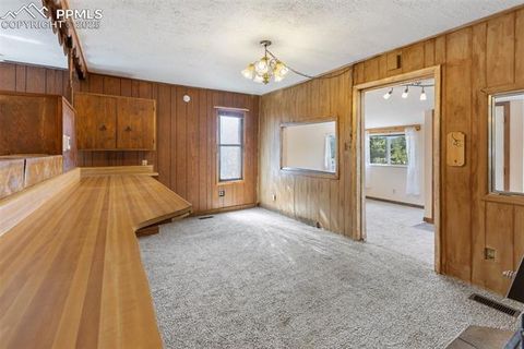 Tiny photo for 272 Spring Valley Trail, Florissant, CO 80816 (MLS # 6807699)