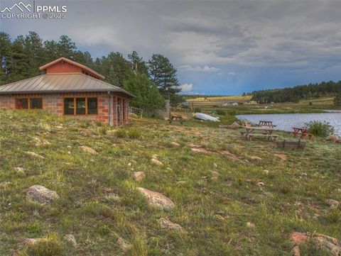 Tiny photo for 272 Spring Valley Trail, Florissant, CO 80816 (MLS # 6807699)