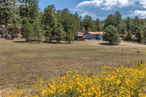 Tiny photo for 272 Spring Valley Trail, Florissant, CO 80816 (MLS # 6807699)