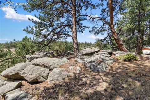 Tiny photo for 272 Spring Valley Trail, Florissant, CO 80816 (MLS # 6807699)