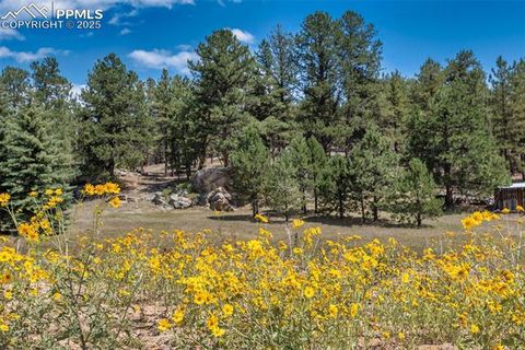 Tiny photo for 272 Spring Valley Trail, Florissant, CO 80816 (MLS # 6807699)
