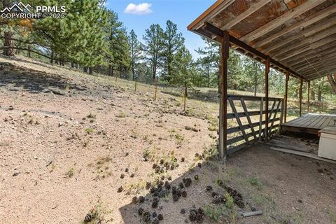 Tiny photo for 272 Spring Valley Trail, Florissant, CO 80816 (MLS # 6807699)