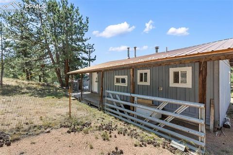 Tiny photo for 272 Spring Valley Trail, Florissant, CO 80816 (MLS # 6807699)
