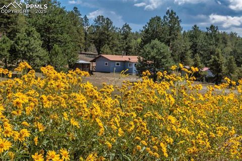 Photo of 272 Spring Valley Trail, Florissant, CO 80816 (MLS # 6807699)