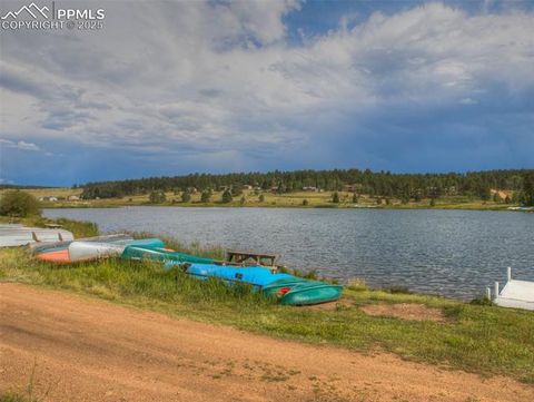 Tiny photo for 272 Spring Valley Trail, Florissant, CO 80816 (MLS # 6807699)
