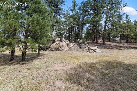 Tiny photo for 272 Spring Valley Trail, Florissant, CO 80816 (MLS # 6807699)