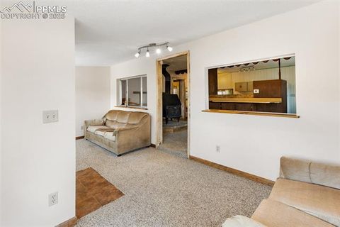 Tiny photo for 272 Spring Valley Trail, Florissant, CO 80816 (MLS # 6807699)