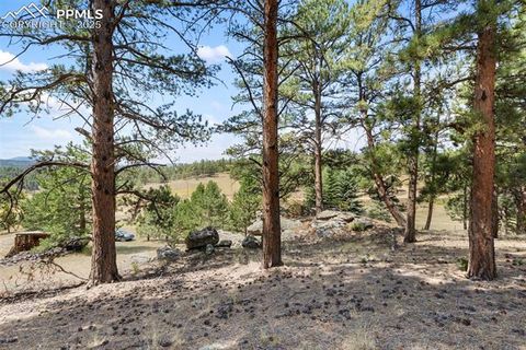 Tiny photo for 272 Spring Valley Trail, Florissant, CO 80816 (MLS # 6807699)