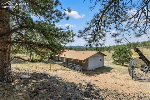 Tiny photo for 272 Spring Valley Trail, Florissant, CO 80816 (MLS # 6807699)