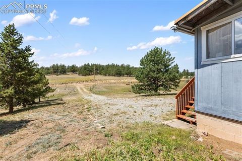 Tiny photo for 272 Spring Valley Trail, Florissant, CO 80816 (MLS # 6807699)