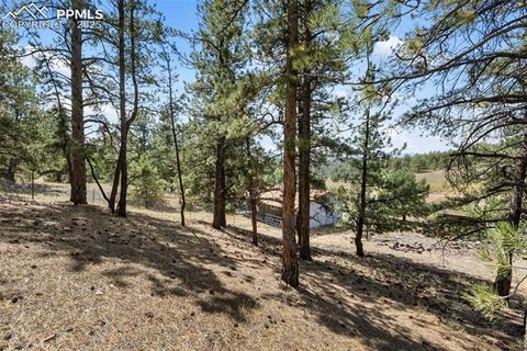 Tiny photo for 272 Spring Valley Trail, Florissant, CO 80816 (MLS # 6807699)