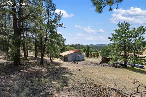 Tiny photo for 272 Spring Valley Trail, Florissant, CO 80816 (MLS # 6807699)