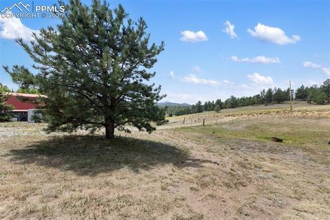 Tiny photo for 272 Spring Valley Trail, Florissant, CO 80816 (MLS # 6807699)