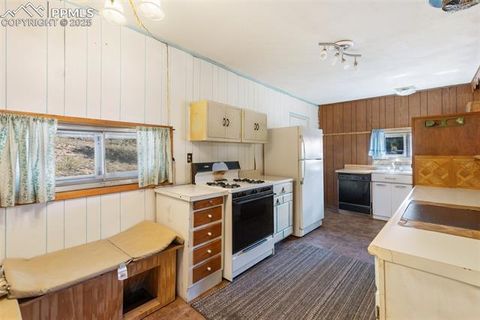 Tiny photo for 272 Spring Valley Trail, Florissant, CO 80816 (MLS # 6807699)