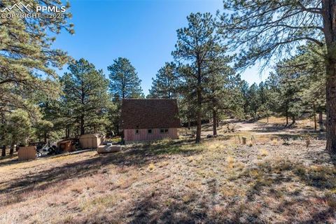 Tiny photo for 153 Ingels Drive, Florissant, CO 80816 (MLS # 3485049)