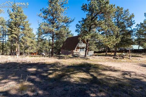 Tiny photo for 153 Ingels Drive, Florissant, CO 80816 (MLS # 3485049)