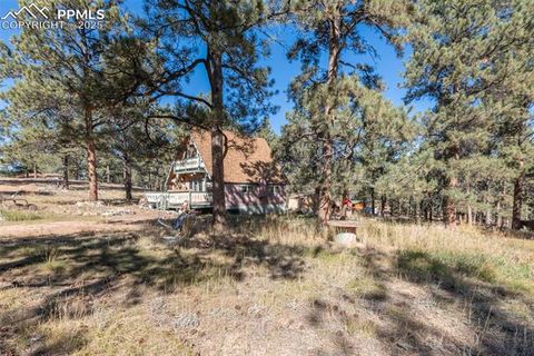 Tiny photo for 153 Ingels Drive, Florissant, CO 80816 (MLS # 3485049)