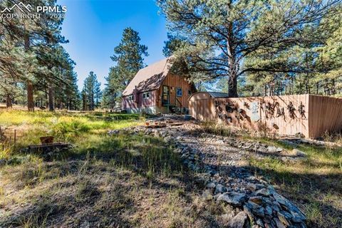 Tiny photo for 153 Ingels Drive, Florissant, CO 80816 (MLS # 3485049)