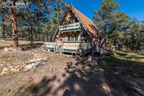 Photo of 153 Ingels Drive, Florissant, CO 80816 (MLS # 3485049)