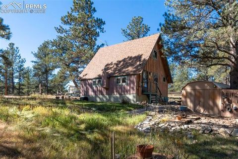 Tiny photo for 153 Ingels Drive, Florissant, CO 80816 (MLS # 3485049)