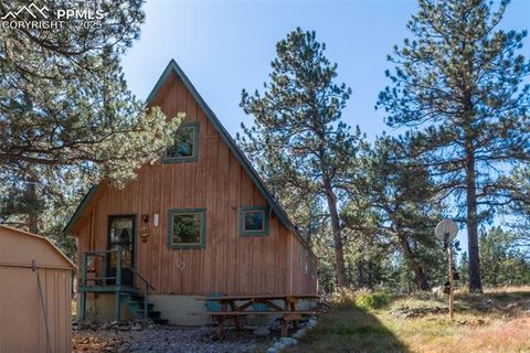 Tiny photo for 153 Ingels Drive, Florissant, CO 80816 (MLS # 3485049)