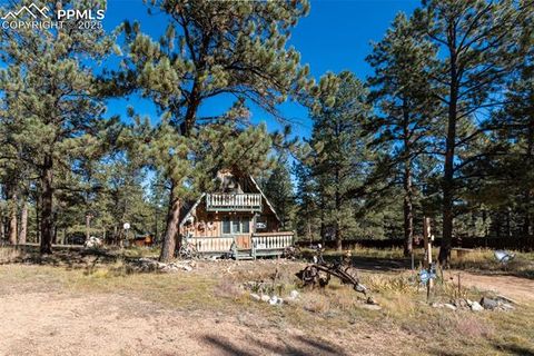 Tiny photo for 153 Ingels Drive, Florissant, CO 80816 (MLS # 3485049)