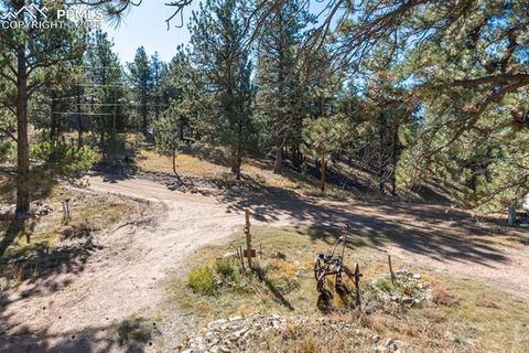 Tiny photo for 153 Ingels Drive, Florissant, CO 80816 (MLS # 3485049)