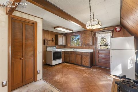 Tiny photo for 153 Ingels Drive, Florissant, CO 80816 (MLS # 3485049)