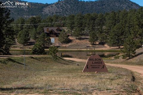 Tiny photo for 153 Ingels Drive, Florissant, CO 80816 (MLS # 3485049)