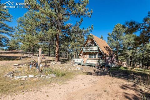 Tiny photo for 153 Ingels Drive, Florissant, CO 80816 (MLS # 3485049)
