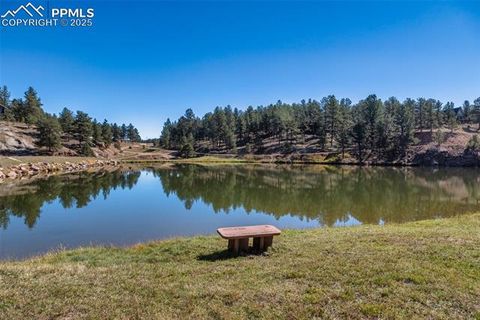 Tiny photo for 153 Ingels Drive, Florissant, CO 80816 (MLS # 3485049)