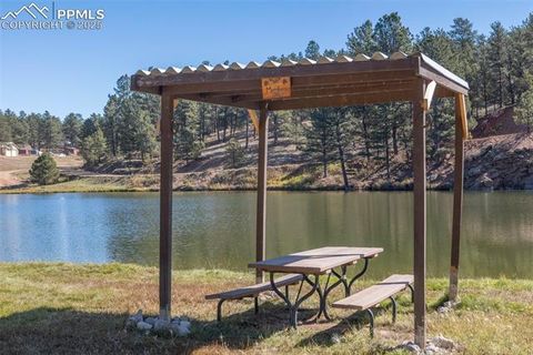 Tiny photo for 153 Ingels Drive, Florissant, CO 80816 (MLS # 3485049)