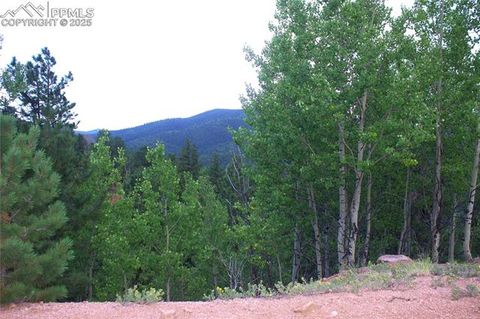 Photo of 490 Grosbeak Circle, Divide, CO 80814 (MLS # 4411278)