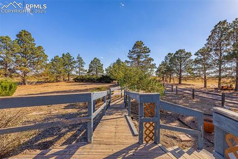 Tiny photo for 25532 Big Springs Road, Calhan, CO 80808 (MLS # 3835266)