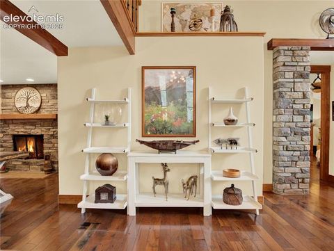 Tiny photo for 27638 Triple B Road, Woodland Park, CO 80863 (MLS # 6940465)