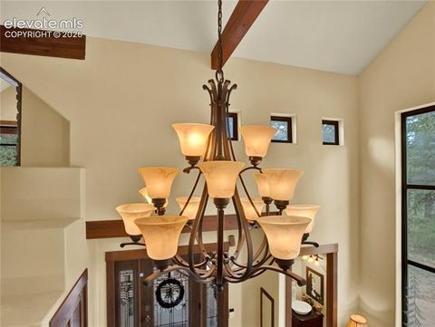Tiny photo for 27638 Triple B Road, Woodland Park, CO 80863 (MLS # 6940465)