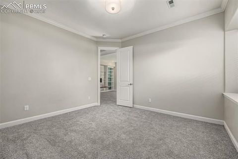 Tiny photo for 13610 Kitty Joe Court, Colorado Springs, CO 80921 (MLS # 9422980)