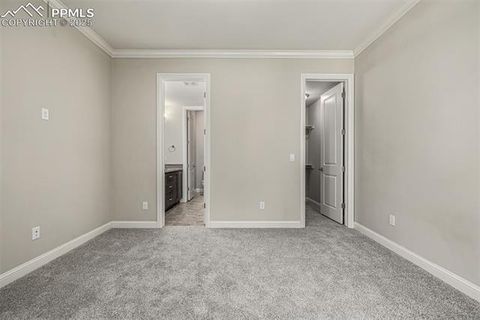 Tiny photo for 13610 Kitty Joe Court, Colorado Springs, CO 80921 (MLS # 9422980)