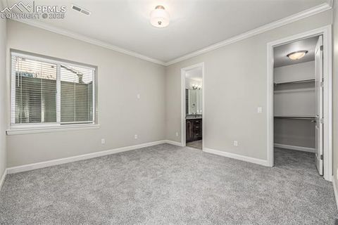 Tiny photo for 13610 Kitty Joe Court, Colorado Springs, CO 80921 (MLS # 9422980)