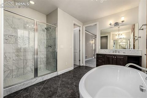 Tiny photo for 13610 Kitty Joe Court, Colorado Springs, CO 80921 (MLS # 9422980)