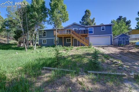 Tiny photo for 451 Fern Road, Woodland Park, CO 80863 (MLS # 8890735)