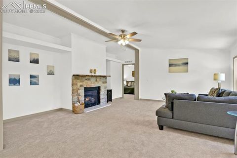Tiny photo for 451 Fern Road, Woodland Park, CO 80863 (MLS # 8890735)