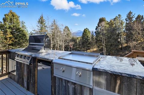 Tiny photo for 451 Fern Road, Woodland Park, CO 80863 (MLS # 8890735)
